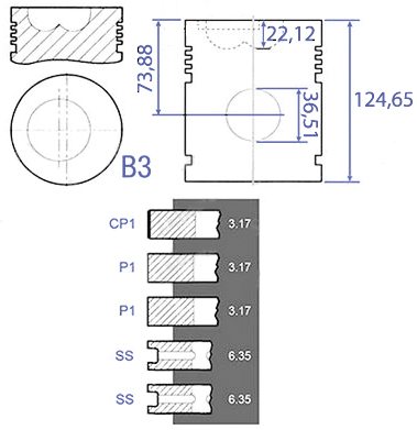 Disegno STMP0005